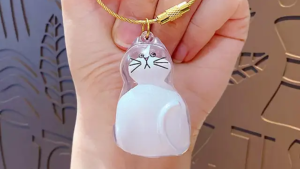 Cat Fur Keychain Cat Hair Storage Memorial Pet Hair Keepsake: The Ultimate Guide 5