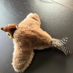 Flappy Bird Toy for Cats: The Ultimate Interactive Playtime Experience (Pack of 1) 12