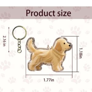 Golden and Labrador