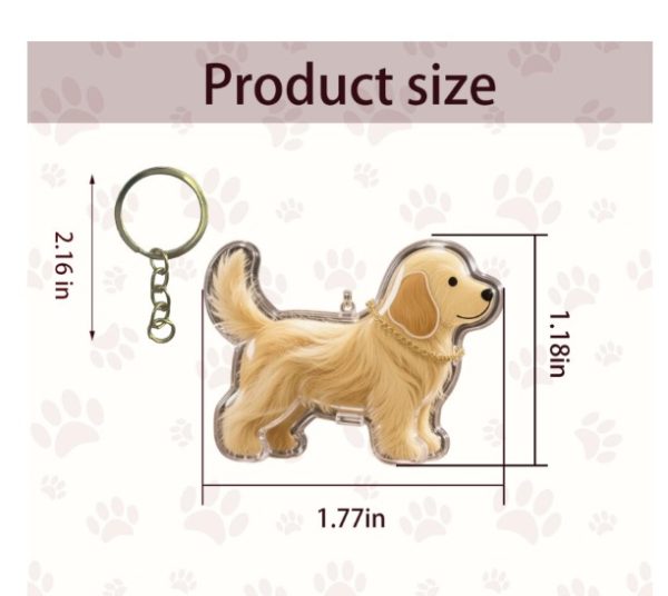 Golden and Labrador